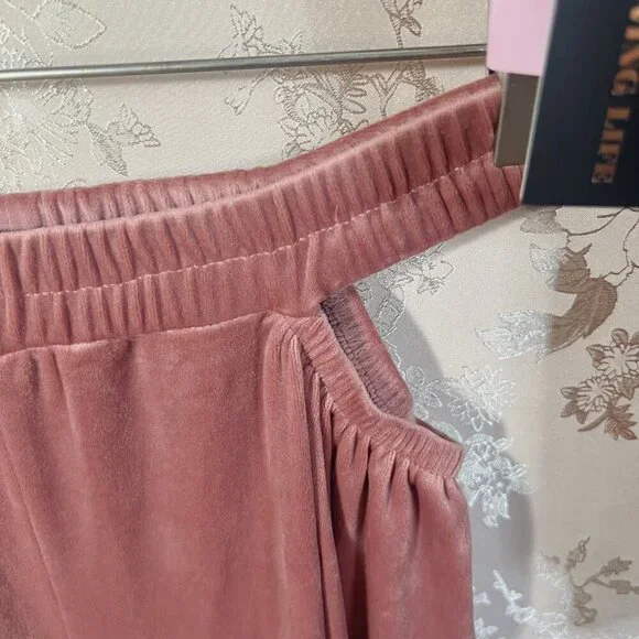 NWT Vivre La Vie Velour Tracksuit Sweatshirt Sweatpants Blush Dusty Rose Size L - Picture 5 of 9